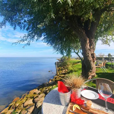 a table with a glass of wine next to the ocean at B&B Evergreen in Wijdewormer