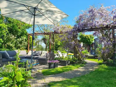 a garden with a couch and an umbrella at B&B Evergreen in Wijdewormer