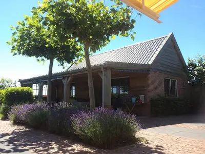 a house with purple flowers in front of it at Warmhuisje in Warmenhuizen