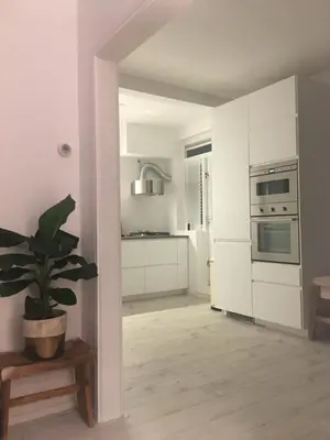 a kitchen with white cabinets and a potted plant at Charming Entire Home Near Amsterdam in Hilversum