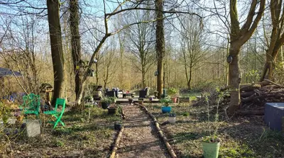 a garden with a bunch of plants and trees at Heidy's Home, with Wellness Facilities in Zeewolde