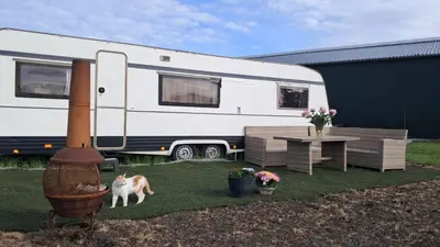 a dog standing in front of a caravan at De Rozenbottel met privé sanitair in Hensbroek