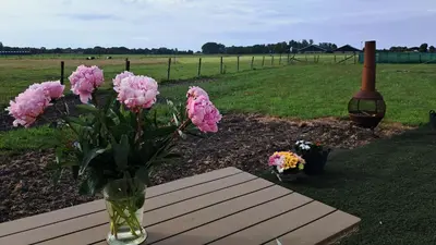 a vase of pink flowers sitting on a table at De Rozenbottel met privé sanitair in Hensbroek