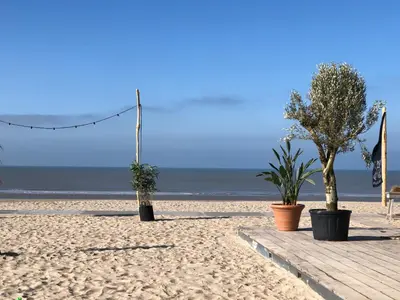 a sandy beach with two trees in pots on it at 4 person Bungalow at beach, sea, dunes, lake, forestside in Noordwijkerhout