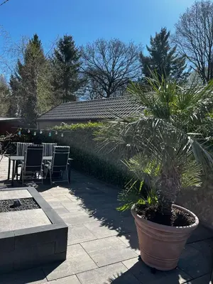 a potted tree in a pot on a patio at Luxe nieuwbouw chalet aan het water in Hoevelaken