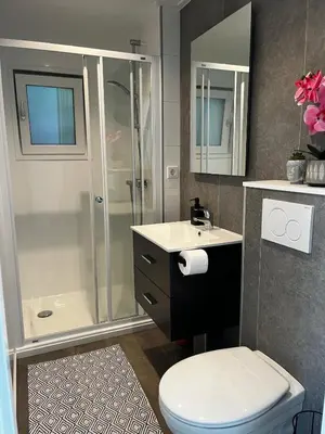 a bathroom with a shower and a toilet and a sink at Luxe nieuwbouw chalet aan het water in Hoevelaken