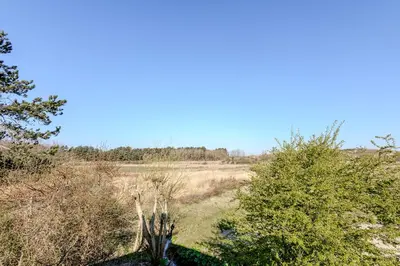 a field with trees and a blue sky at Villa Koperwiek in Egmond aan den Hoef