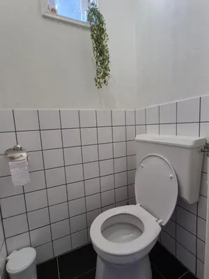 a bathroom with a white toilet and a window at De Groten Zes in Egmond aan Zee