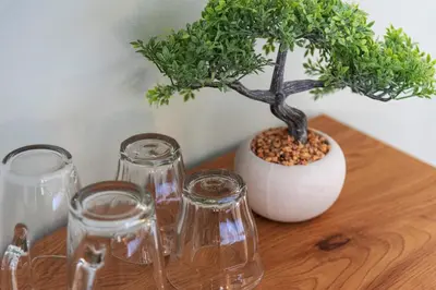 a bonsai tree in a white vase on a wooden table at Coastal Inn in Zandvoort