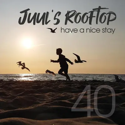 a man running on the beach with birds at Have a nice stay! - Juul's Rooftop, free parking in Noordwijk