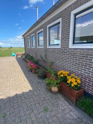 a bunch of potted plants on the side of a house at Amsterdam Garden Studio in Uitdam