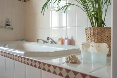a bathroom with a tub and a plant on a counter at Le Paysan in Wijk aan Zee