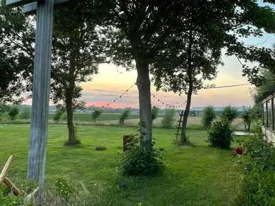 a view of a field with trees and a fence at Tiny House Egmond in Egmond aan den Hoef