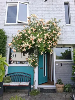 a house with a blue door and a bench with flowers at House nearby Amsterdam in Almere