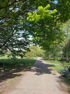 a tree canopy over a path in a park at House nearby Amsterdam in Almere