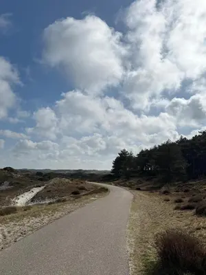a winding road in the middle of a field at Duijnparadijs in Schoorl