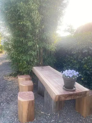 a wooden bench with a pot of flowers on it at The Beach House in Schellinkhout