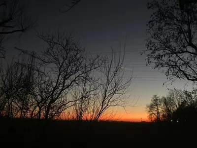 a group of trees with the sunset in the background at De Verborgen Pracht in Schagen