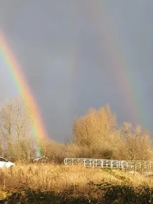a rainbow over a field with a fence at Amsterdam Millgreen Den Ilp 198 in Den Ilp