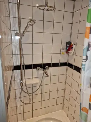 a bathroom with a shower with a toilet at Amsterdam Millgreen Den Ilp 198 in Den Ilp