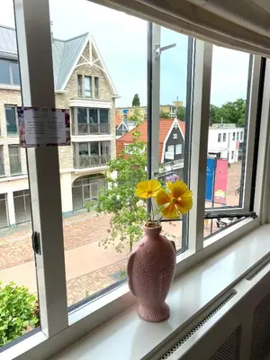 a vase with flowers sitting on a window sill at Bubbles & Bed in Bilthoven