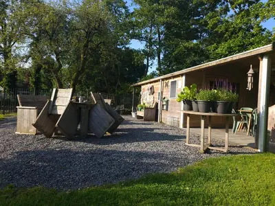 a group of plants on a table in front of a building at Trekkershut - De Hollandse Boerderij in Ons Belang