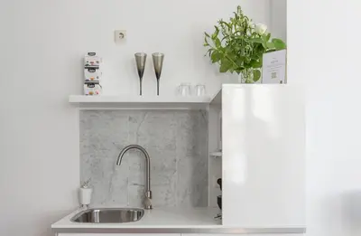 a kitchen with a sink and a vase with a plant at Jordaan Suite bed and bubbles in Amsterdam