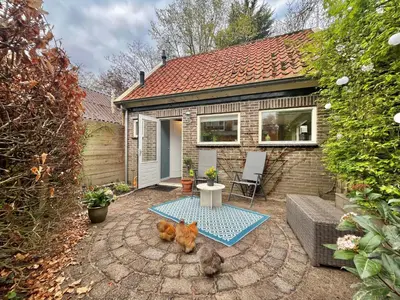 two cats sitting on a patio in front of a house at Bed and Breakfast Verlaat in Oude-Niedorp