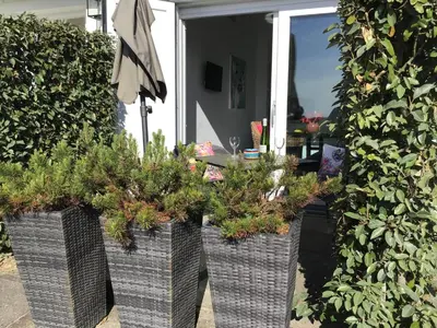 two planters with plants in them on a patio at Studio Sunrise in Zandvoort