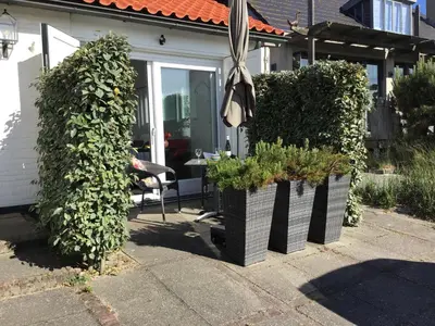 a house with two hedges and two planters with plants at Studio Sunrise in Zandvoort