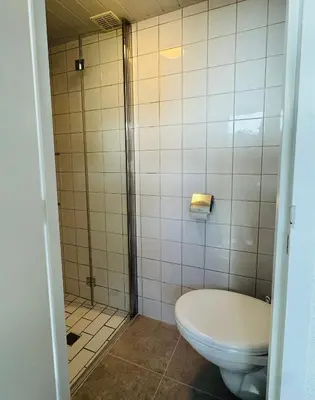 a bathroom with a toilet and a shower at familie huisje de kleine schelp in Noordwijk aan Zee