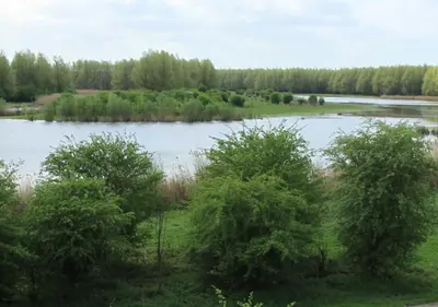 a view of a lake with trees in the foreground at Villa NovaTerra - Zeewolde in Zeewolde