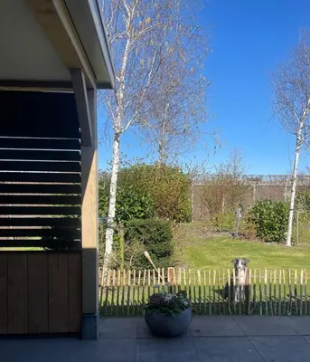 a house with a fence and a dog in a yard at Studio 137 in Zwaag