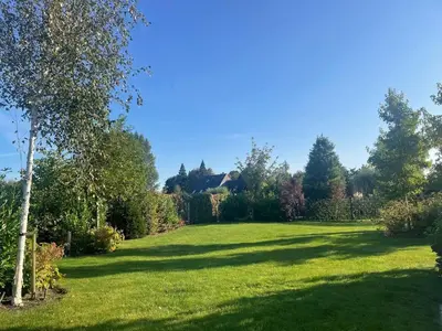 a large grassy field with trees and bushes at Studio 137 in Zwaag