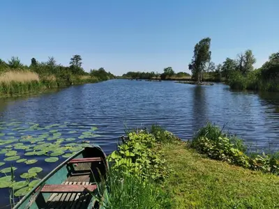 a boat sitting on the side of a river with lilies at Guesthouse De Waterliefde Loosdrecht in Breukelen
