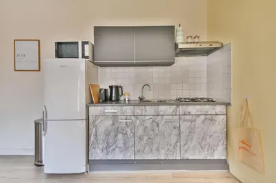 a kitchen with a white refrigerator and a sink at Studio la Riet in Alkmaar