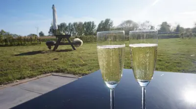 two glasses of champagne are sitting on a table at Bed and Breakfast Het schapenlandje in Waarland