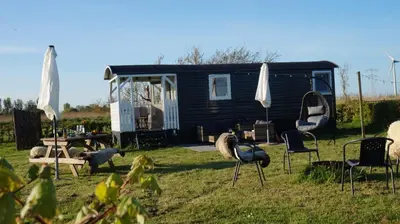 a black tiny house in a yard with chairs and umbrellas at Bed and Breakfast Het schapenlandje in Waarland