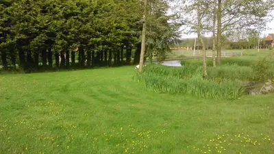 a field of grass with trees and a pond at Appartement De Molshoop in Landsmeer