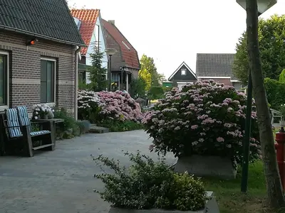 a garden with pink flowers and a house at Appartement De Molshoop in Landsmeer