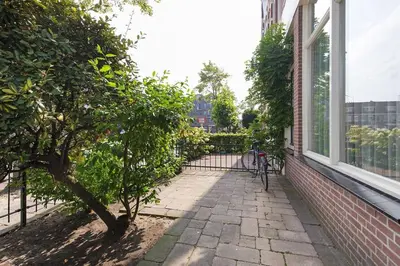 a bike parked next to a building with a tree at Authentic townhouse Alkmaar in Alkmaar