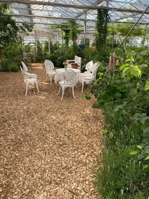 a patio with a table and chairs in a greenhouse at Een luxe safari tent in Rijsenhout