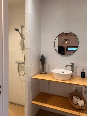 a bathroom with a sink and a shower at Luxurious Tiny House with HotTub in Rijsenhout