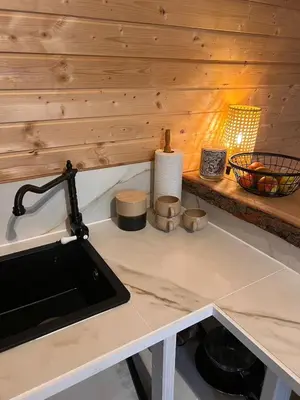 a kitchen counter with a sink in a wooden wall at Luxurious Tiny House with HotTub in Rijsenhout