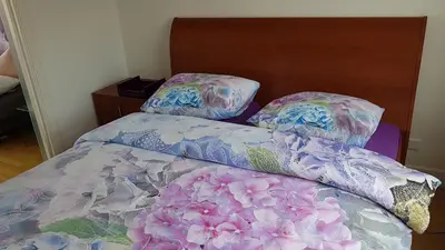 a bed with two pillows on top of it at Lil Amsterdam Topfloor a room ensuite with balcony in Uithoorn