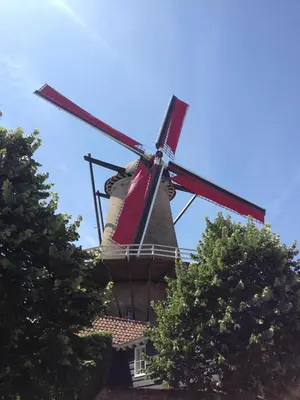 a windmill on top of a building with trees at Gemütliches Ferienhaus am Meer in Ons Belang