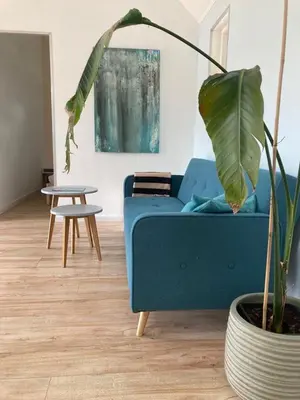 a blue couch in a living room with a plant at The Bee - Trekkershuts & Apartment in Opperdoes
