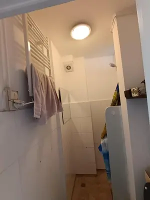 a small bathroom with a shower and a toilet at Near Centrum in Amsterdam