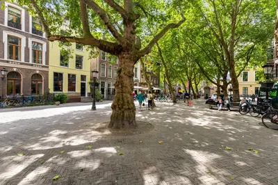a tree in the middle of a city street at Unique underground hotel in Utrecht city center in Utrecht