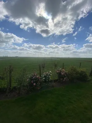 a view of a field with flowers in the grass at Geniet van de rust en de ruimte in Bodegraven